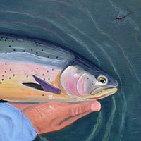 Fly Fishing Paintings of Doug McKnight